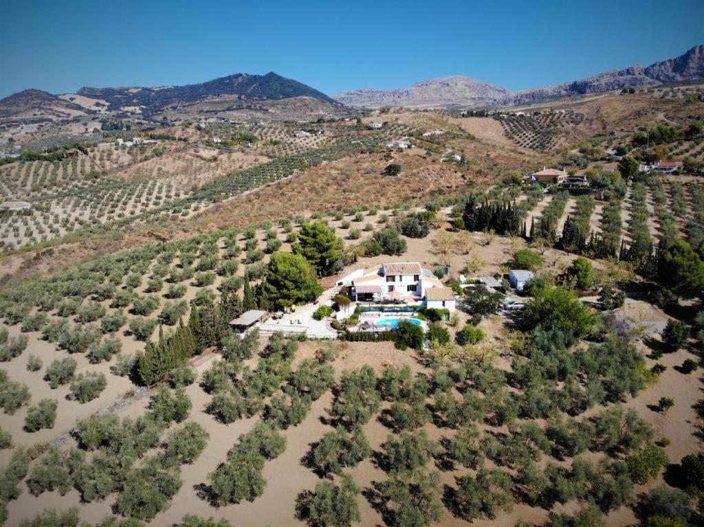 Finca Amorosa Villanueva de la Concepción Dış mekan fotoğraf