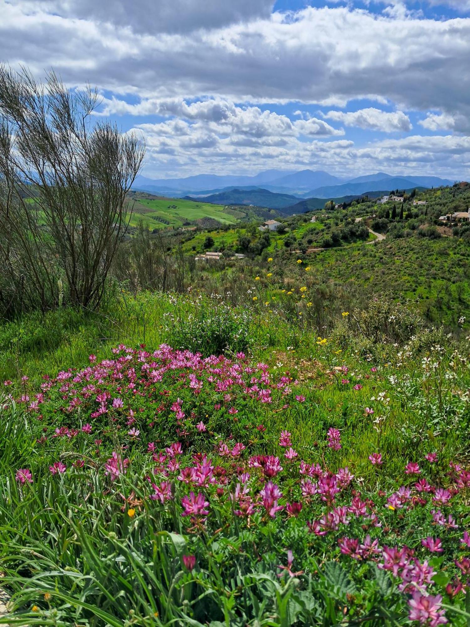 Finca Amorosa Villanueva de la Concepción Dış mekan fotoğraf